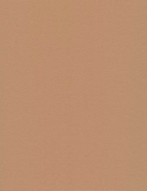 ткань Рулонные шторы Уни1 Альфа Блэкаут св.коричневый