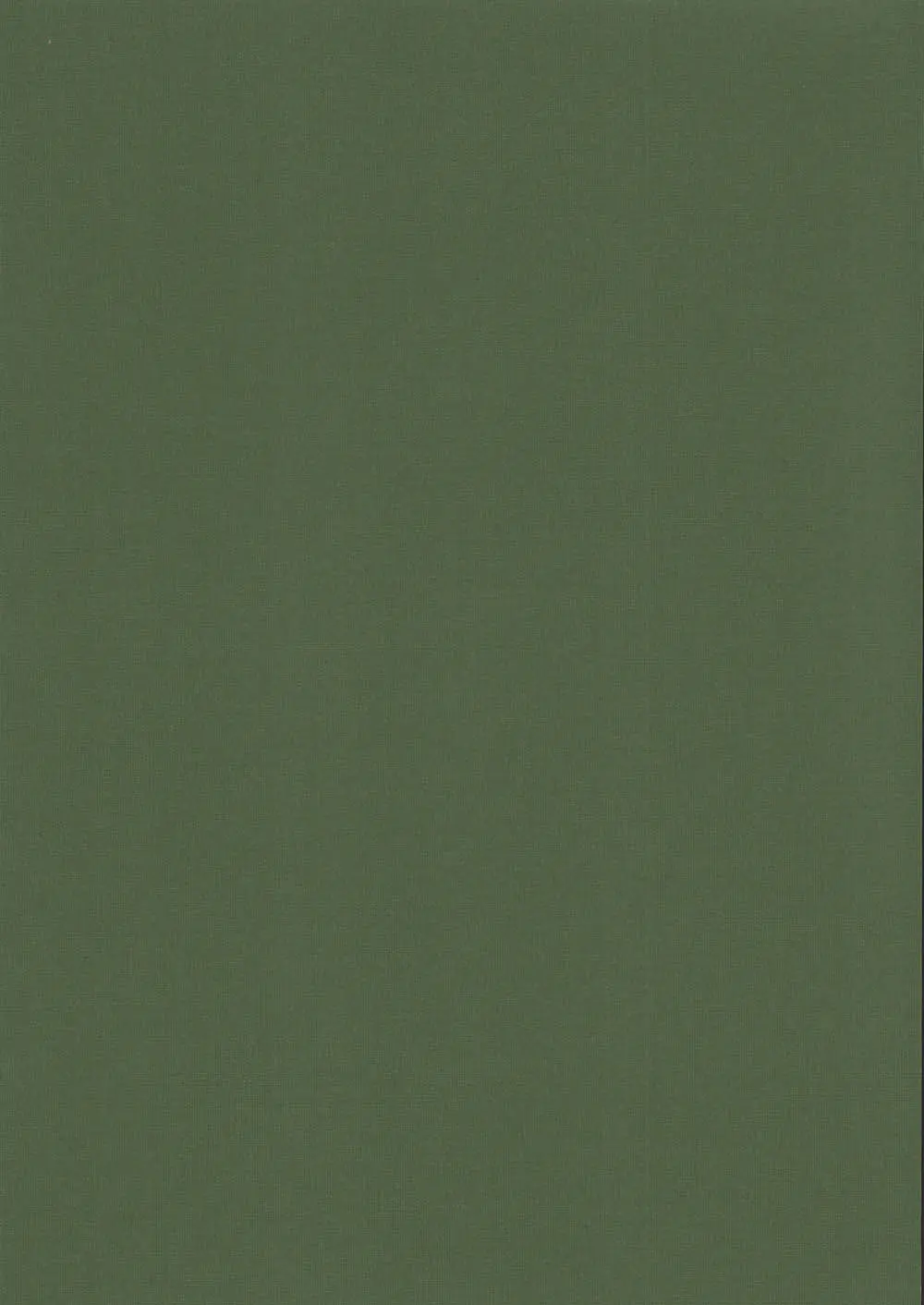 ткань Рулонные шторы Мини Карина_Int темно-зеленая