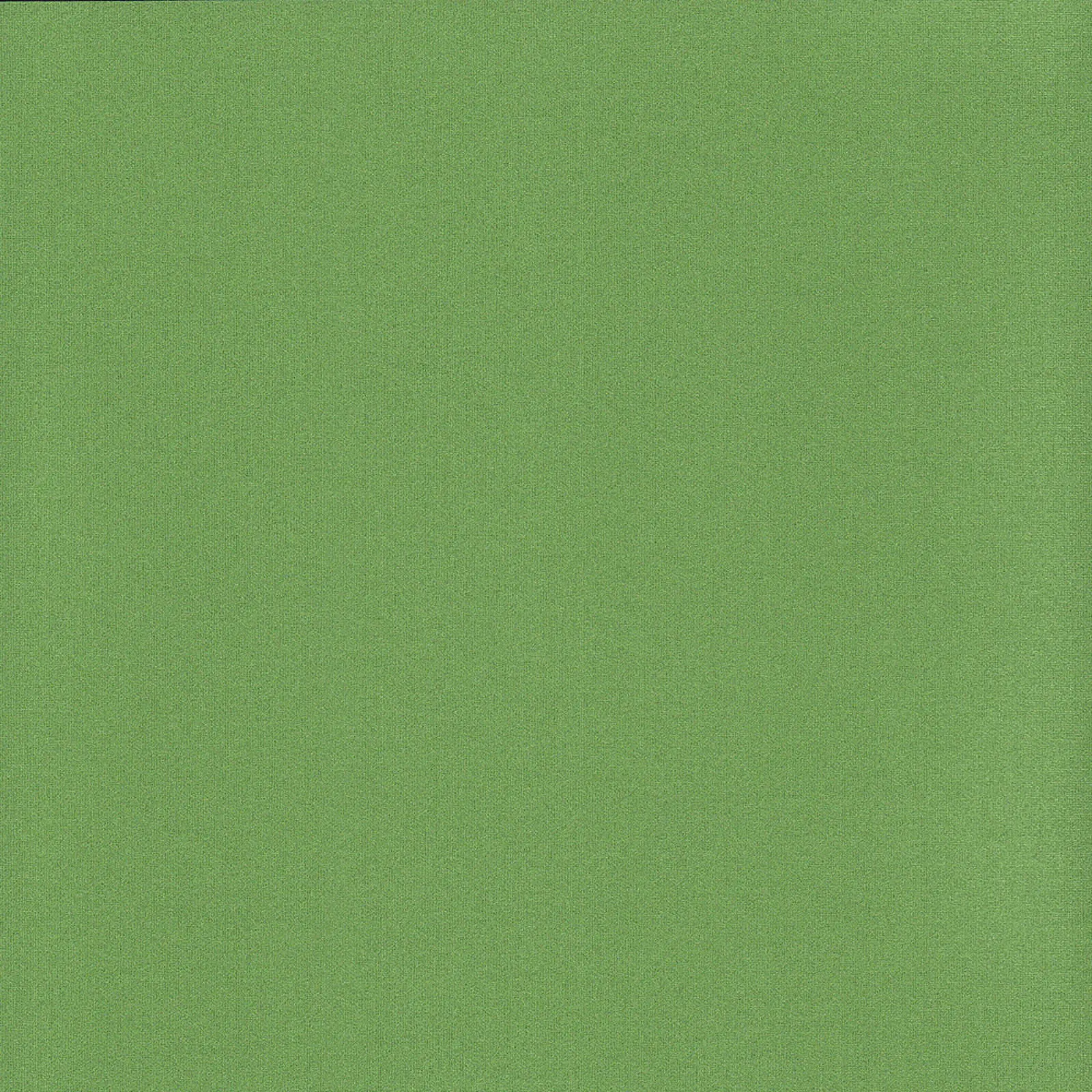 ткань Рулонные шторы Уни1 Металлик_Int светло-зеленый